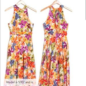 Matte Satin Tie Neck Midi Dress